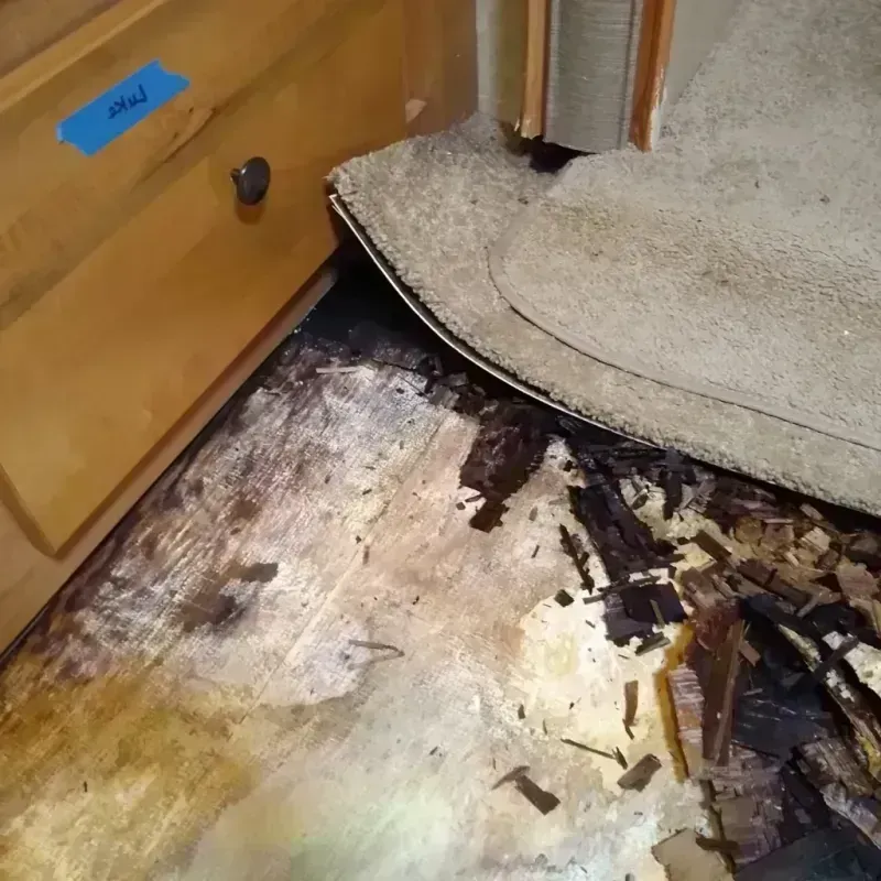 Wood Floor Water Damage in Adams County, PA